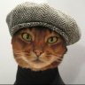 CataDaniels