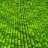 GreenSea